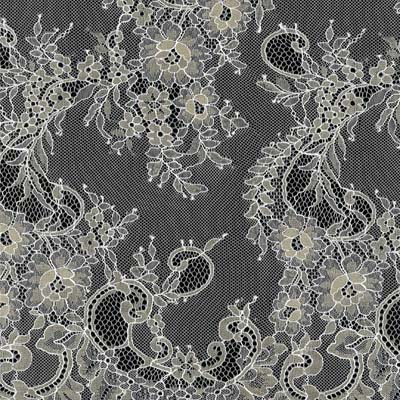 Ivory and/or Champagne Lace