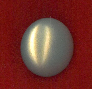 MOTHER OF PEARL BUTTON - SIZE 10 - GOLD