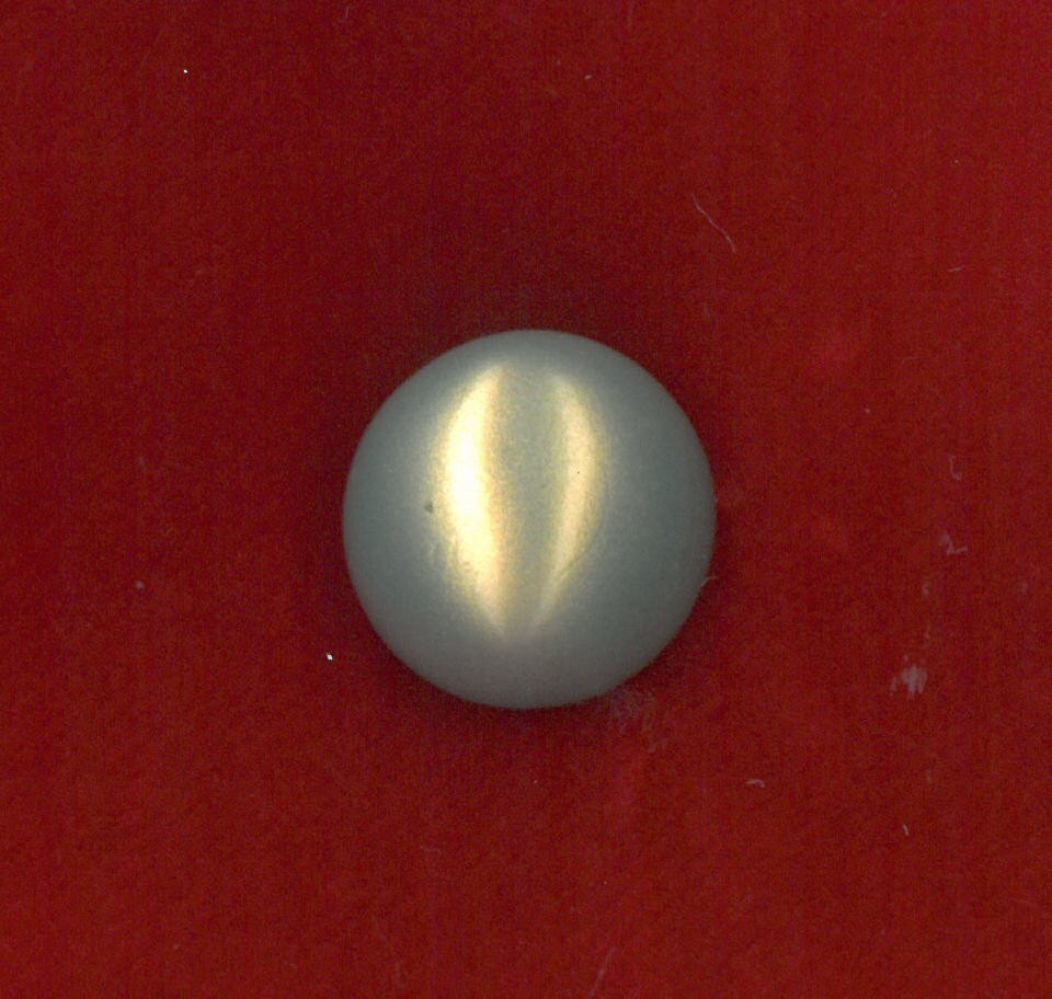 MOTHER OF PEARL BUTTON - SIZE 14 - GOLD