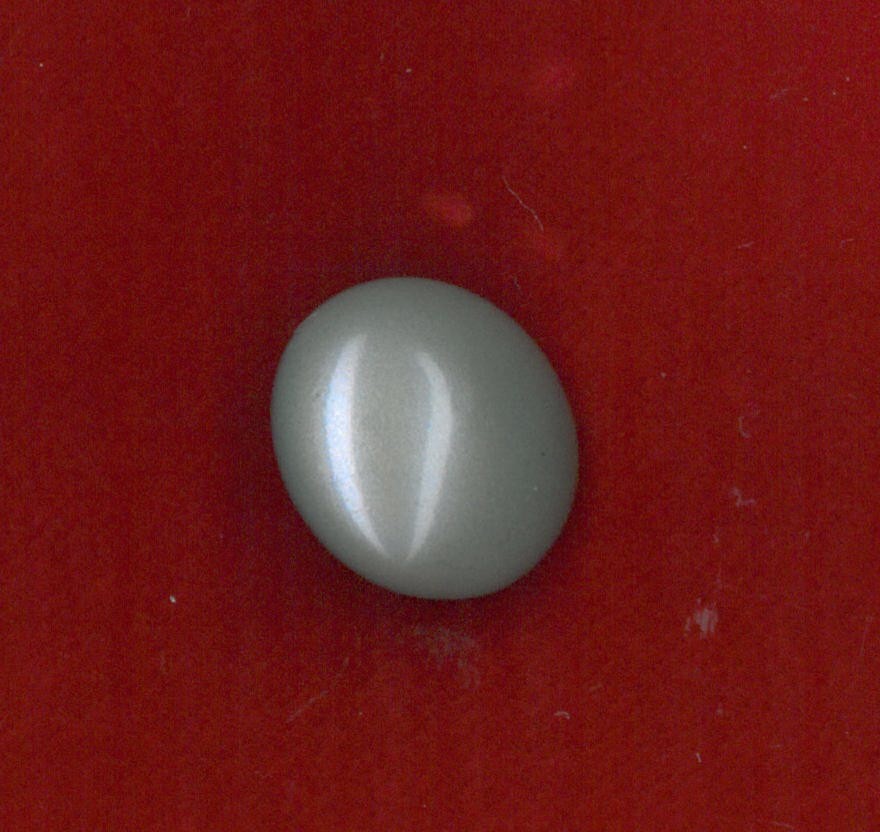 MOTHER OF PEARL BUTTON - SIZE 14 - NICKEL