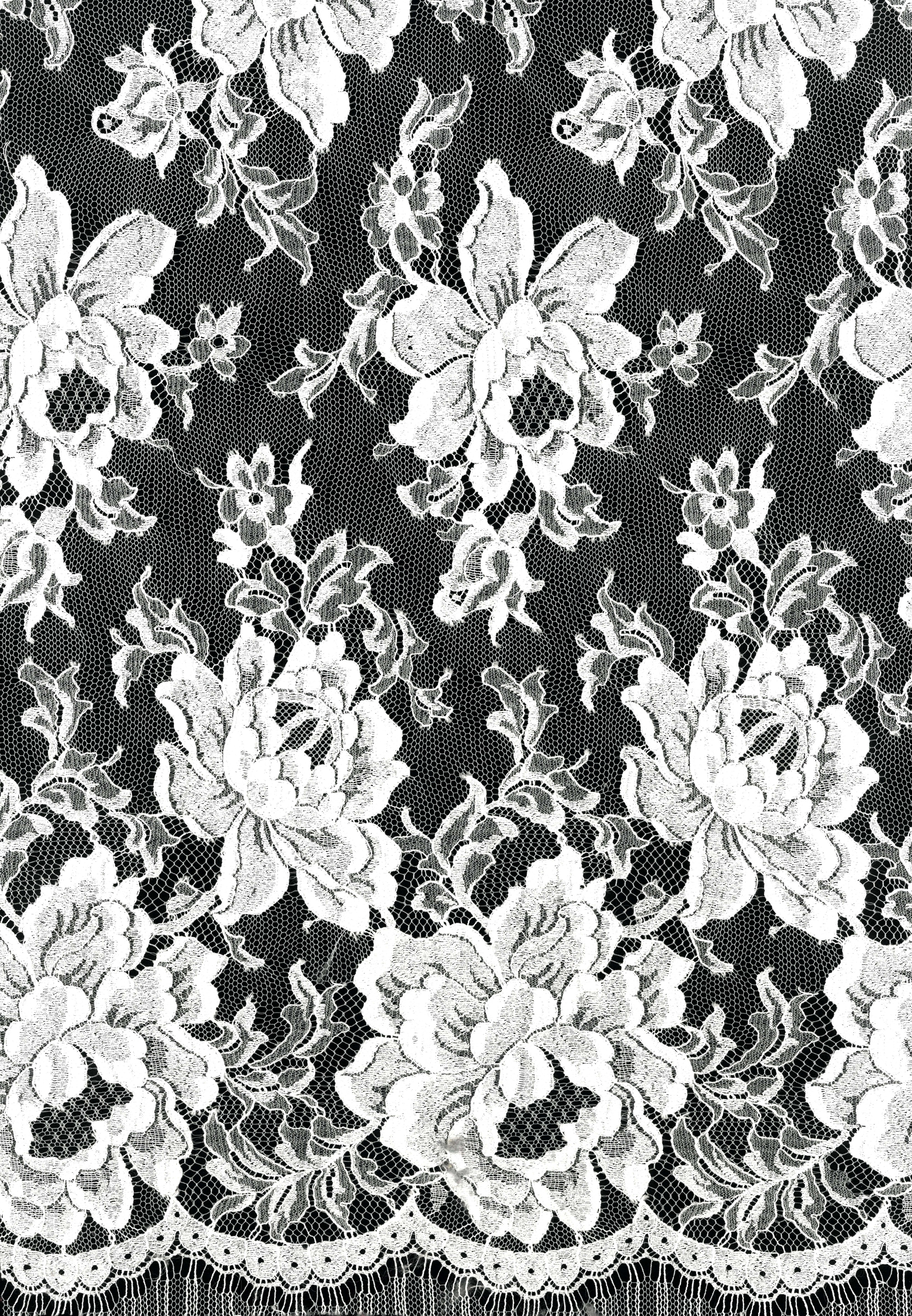 FRENCH LACE - IVORY