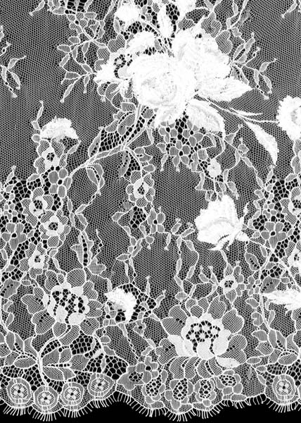 EMBROIDERED LACE - IVORY