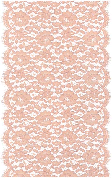 CORDED FRENCH LACE EDGING - ANT ROSE
